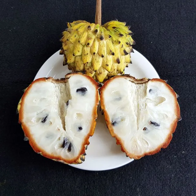 thumbnail for publication: Rollinia (Annona mucosa Jacq.) Fruit Trees: Botany and Commercial Cultivation in South Florida